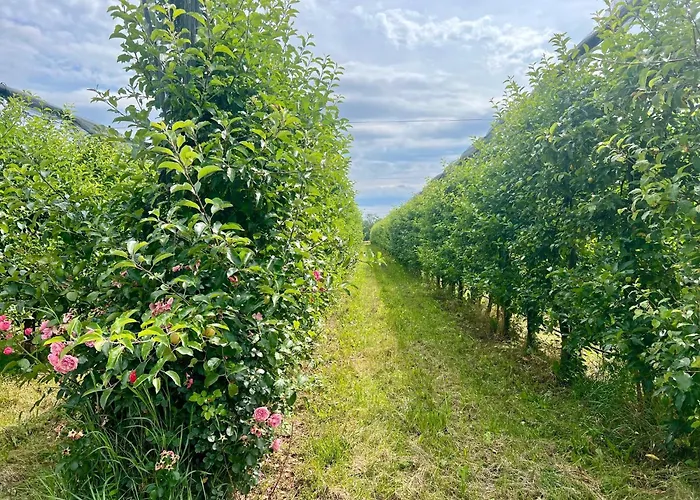 Apartman Casa Del Sol